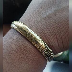 NWOT Snake Bangle Bracelet